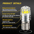Ruiandsion 2pcs E10 Base LED Upgrade Bulb 3V COB 2W Replacement for Flashlights Torch Lights, White by Ruiandsion