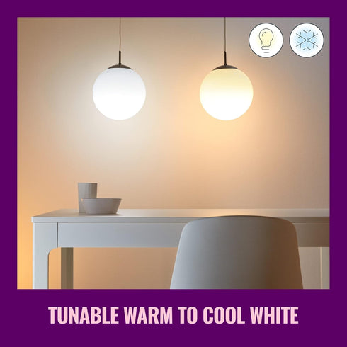 WiZ Connected 60W A19 LED Smart Light Bulbs, E26 Smart Bulb, Control with Voice or App, 2 Pack