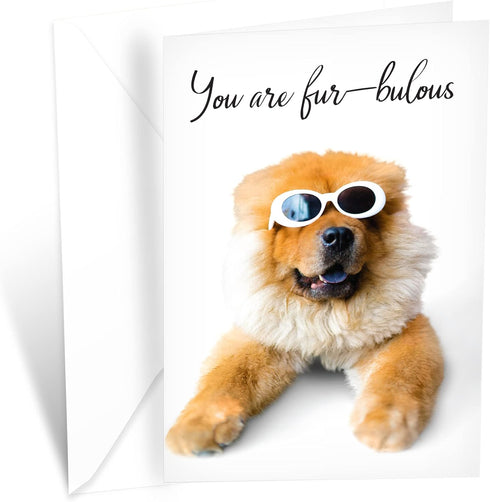 Prime Greetings Funny Dog Birthday Card Pun with Sunglasses, Eco-Friendly, Thick Card Stock with Premium Envelope, 5in