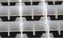 SHATUOA 5Pcs 88 Eggs Incubator Tray, Portable Chicken Trays Shipping Carton Poultry Flat Incubator Tray Rooster