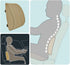 MotorTrend Lumbar Back Support - Portable Orthopedic Lumbar Back Support Memory Foam & PU Leather Seat Cushion. This