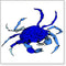 CafePress Blue Crab Sticker Square Bumper Sticker Car Decal