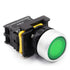 mxuteuk Green LED Light Voltage 110V-220V 22mm 1NO Waterproof IP65 SPST Momentary Push Button Switch