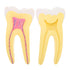 UPKOCH Molar Teeth Model for Dentist Simulation PVC Anatomical Tooth Specimen Oral