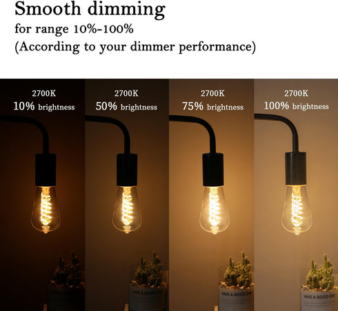 4Pack 6W ST58 Bulbs 60W 600Lumens, 2700K Bulb, Dimmable, E26 Bulbs, 80+ Vintage LED Edison Light Equivalent, Warm White