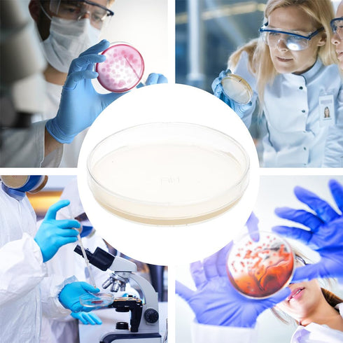 10Pcs Nutrient Agar Petri Dishes, Pre-Poured Agar Plates for Science Project Kit, Supplies for Students