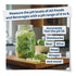 Kombucha Instant Read pH Strips Dispenser - 180 1" Inch Strips, 15 ft Roll, pH Range 0-6 for Brewing