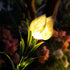 7 2 Pack Solar Garden Lights, Heads Gardenia Colorful Flower Light Waterproof Solar Outdoor Lights for Yard Pathway