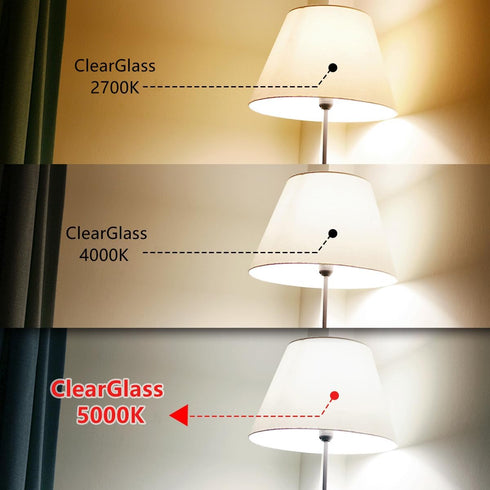 BORT Dimmable LED Edison Bulbs, 6W Vintage Light Bulb Equivalent to 60W, E26 5000K ST58/ST19, 6 Pack