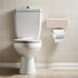 NOLITOY Wall-Mounted Toilet Holder with Garbage Bag Storage Bathroom Organizer for Small Spaces Multipurpose Tissue