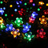 Fairy Flower String Lights Outdoor Decorative Lights 33 Feet 100LED Starry Cherry Blossom Lighting, Floral Lamp for Christmas Halloween Wedding Party Indoor Outdoor Bedroom Decorations (Colorful) by FULLBELL