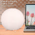Bulb Paper Lantern Lamp: Floor Lamp Shield Japanese Style Standing Lampshade for Bedroom Desk and Nursery Included