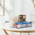 Plastic Clear Phone Case Organizer, Multifunctional Storage Holder Box for Desk, Cabinet, Shelf (Deep)