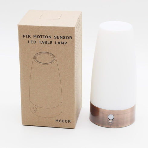 ZEEFO Retro LED Night Light with PIR Motion Sensor, Battery Operated Indoor/Outdoor Table Lamp for Kids Room