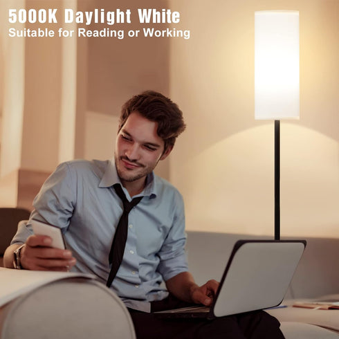 64" Dimmable 9W Bulb Ambimall Floor Lamps for Living Room, Modern Floor Lamp with Remote Control and Stepless Colors