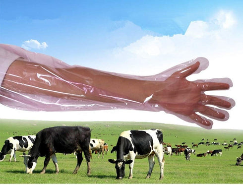 50Pcs Disposable Soft Plastic Film Gloves, Vet Gloves Palpation Sleeve Artificial Insemination Gloves 35.5inch Full Arm Gloves Livestock Gloves for Field Dressing