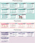 76 Set Medical Reference Card - Medical Scrubnotes by Medical Basics - ID Badge Cards for med Students, Residents, NP