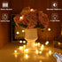 Grandhome 10ft 30 8 Globe String Lights, Crystal Ball Led String Lights Warm White, LED Fairy Lights Battery Operated
