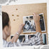 Push Pins, Decorative Thumb Tacks for Cork Board, Wooden Thumb Tacks for Wall Hangings, with Storage Box (Coffee, White)