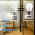 A19 LED Light Bulbs, 60 Watt Equivalent, E26 Base, 6500K Daylight White, 10W, 1000 Lumen, Non-Dimmable, Pack of 6