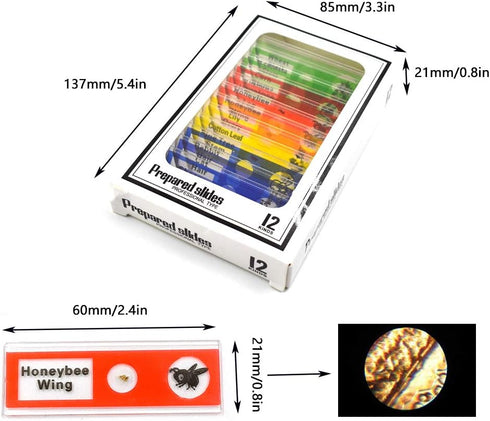 Prepared Microscope Slides for Kids, 48pcs Plastic Animals Insects Plants Flowers Sample Specimens for Homeschooling