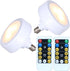 SADOVC 2 Pack Mini E12 Battery Light Blub for Lamp,Battery Operated Light Bulb