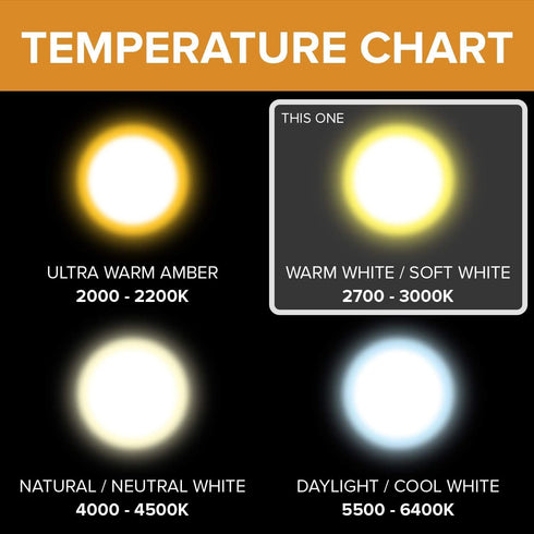 12Vmonster 10 Pack Q20/G9/CL/120V G9 20 120 T4 Bulb Crystal Clear Lense JCD Watt Volt JD Type Halogen House Hold Light