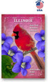 US STATE BIRDS AND FLOWERS Set of 50 Postcards | United States Bird and Flower Symbols Variety Pack | Made in USA