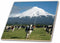 3dRose Dairy Cows, Farm Animals, Taranaki, New Zealand-AU02 DWA4997 - David Wall