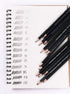 Sketch Pencil Drawing Set, 14 Pencils 6H, 4H, 2H, HB, 1B, 2B, 3B, 4B, 5B, 6B, 7B, 8B, 10B, 12B