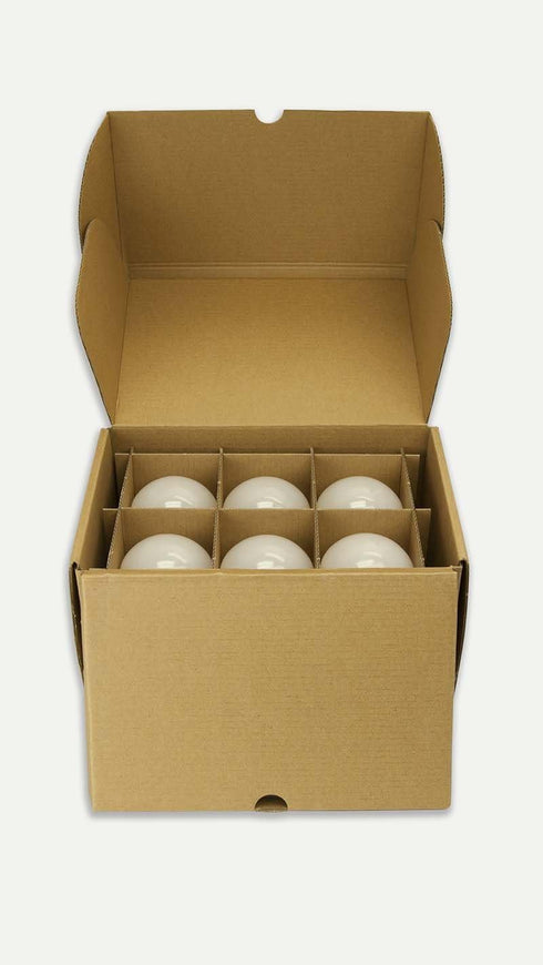 TCP 100 Watt LED Light Bulbs Energy Efficient 14W | A19 Lamp E26 Base Non-Dimmable Daylight 5000 Kelvin, Pack of 6 by TCP
