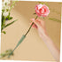 25pcs KALLORY Tubes for Fresh Flowers Lightweight Water Tubes for Florist Arrangements for Roses Carnations