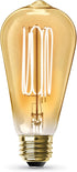Feit Electric ST19 Vintage Edison LED Light Bulb, 40W Equivalent, Dimmable, 2100 Warm Light, 2 Pack