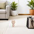 3.54x1.85 Inch Operitacx Wooden Sofa Legs French Style Decorative Round Furniture Feet Unfinished Wood Replacement
