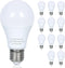 12 Pack LED Light Bulbs, 100 Watt Equivalent, Efficient 13W, Daylight White 5000K, E26 Medium Base, A19, Non-Dimmable