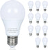 12 Pack LED Light Bulbs, 100 Watt Equivalent, Efficient 13W, Daylight White 5000K, E26 Medium Base, A19, Non-Dimmable