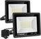 Ceena 2 Pack 60W Plug in LED Flood Light Outdoor, 6000lm Super