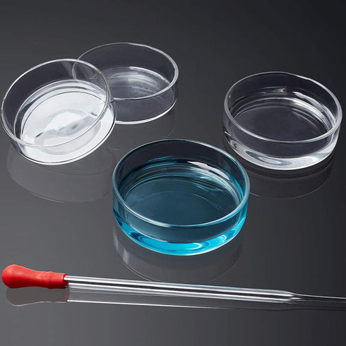 OLYCRAFT 6PCS High Borosilicate Glass Petri Dishes with Lid, 60mm Dia x 18mm Deep, 2pcs Glass Culture Plate