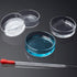OLYCRAFT 6PCS High Borosilicate Glass Petri Dishes with Lid, 60mm Dia x 18mm Deep, 2pcs Glass Culture Plate