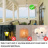 Taigeguang Socket,E26 E27 Bulb (3 Pack) Motion Sensor Light PIR Motion Screw Adapter Indoor Use Only, Auto On Off Night