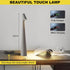 Lamps,3 Cordless Small Table Levels Brightness Portable Desk Lamp,Rechargeable Battery Lights for Outdoor, Restaurant