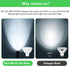 AGELCK MR16 Bulb 6000K Gu5.3 5W (50W 12V 610LM 85+, 36 Bulb Non-Dimmable, 6 Pack Led Daylight - Base, Halogen