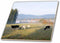3dRose Canada, Vancouver Island. Cows grazing on Grass at a Dairy Farm