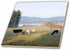 3dRose Canada, Vancouver Island. Cows grazing on Grass at a Dairy Farm