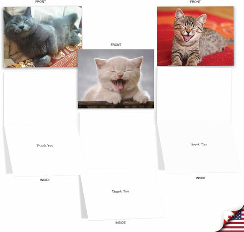 The Best Card Company 10 Assorted Thank You Notes Bulk Box Set with Envelopes (10 Designs, 1 Each) Smitten Kittens