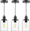 Industrial Pendant Lights, Modern Clear Glass Shade Pendant Lighting, Black Pendant Light