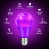 2-Pack Pink LED Light Bulbs, 9W (60W Equivalent) E26 Base for Christmas, Halloween, Holiday Lighting, Wedding Decor