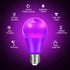 2-Pack Green LED Christmas Light Bulbs, 9W (60W Equivalent), E26 Base for Holiday Lighting