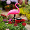 Waterproof Solar Flamingo Garden Light, Durable Blow Molded Flamingo Shape with Removable Ground Plug