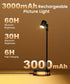 Wall,3 Dimmable (1 Pack) Wireless Battery Operated Picture Light for Color LED Art Lighting for Paintings,Magnetic